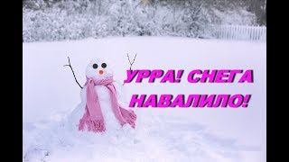 Снежное Воскресенье, кормушка не пустела.Snow Sunday..