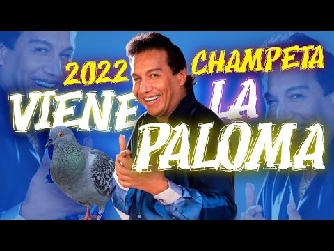 Viene La Paloma