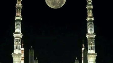 بالله ياجمال — القارئ عمار العبيدي