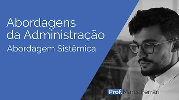O que é um profissional com visão sistêmica?