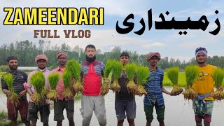 ZAMEENDARI زمینداری How to Make Paddy Fields in kashmir full vlog @MubarakIjtiba