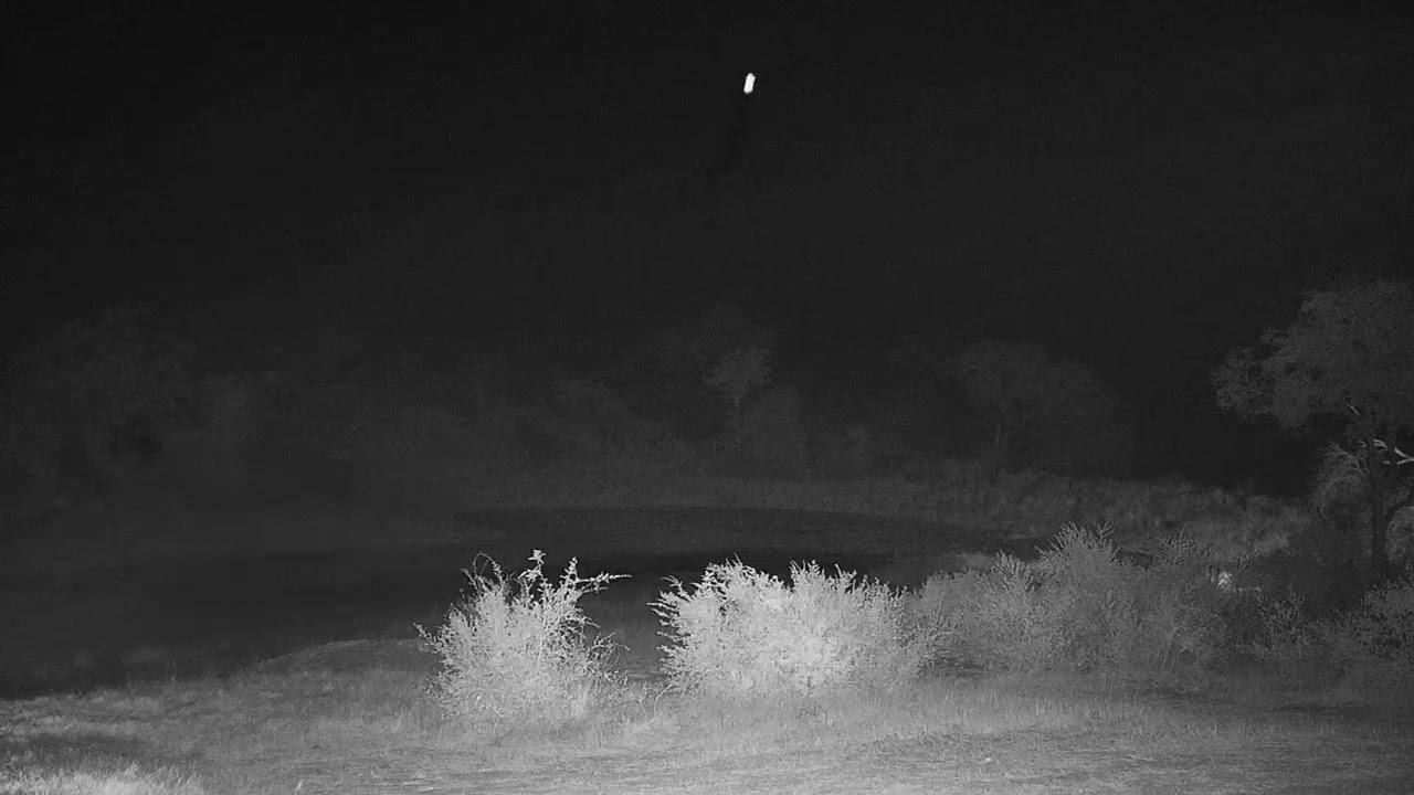 camera iphone 8 plus apk Djuma: Sights and sounds with leopard and hyena around - 11:17 - 06/25/19