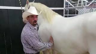 Download Lord Carnita Asada Cantando El Corrido Del Caballo Blanco Video MP3 Lord Carnita Asada Cantando El Corrido Del Caballo Blanco