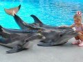 Rights for dolphins!!!