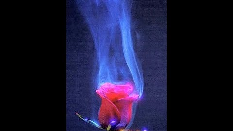 2001.06.30 Frankie Knuckles Live @ BBC Radio 1 Essential Mix, Turnmills, London, Short ver.