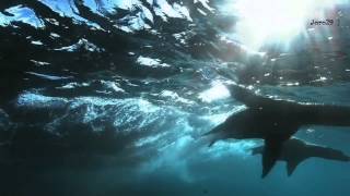 * Up to the sky ... what a Beautiful life *