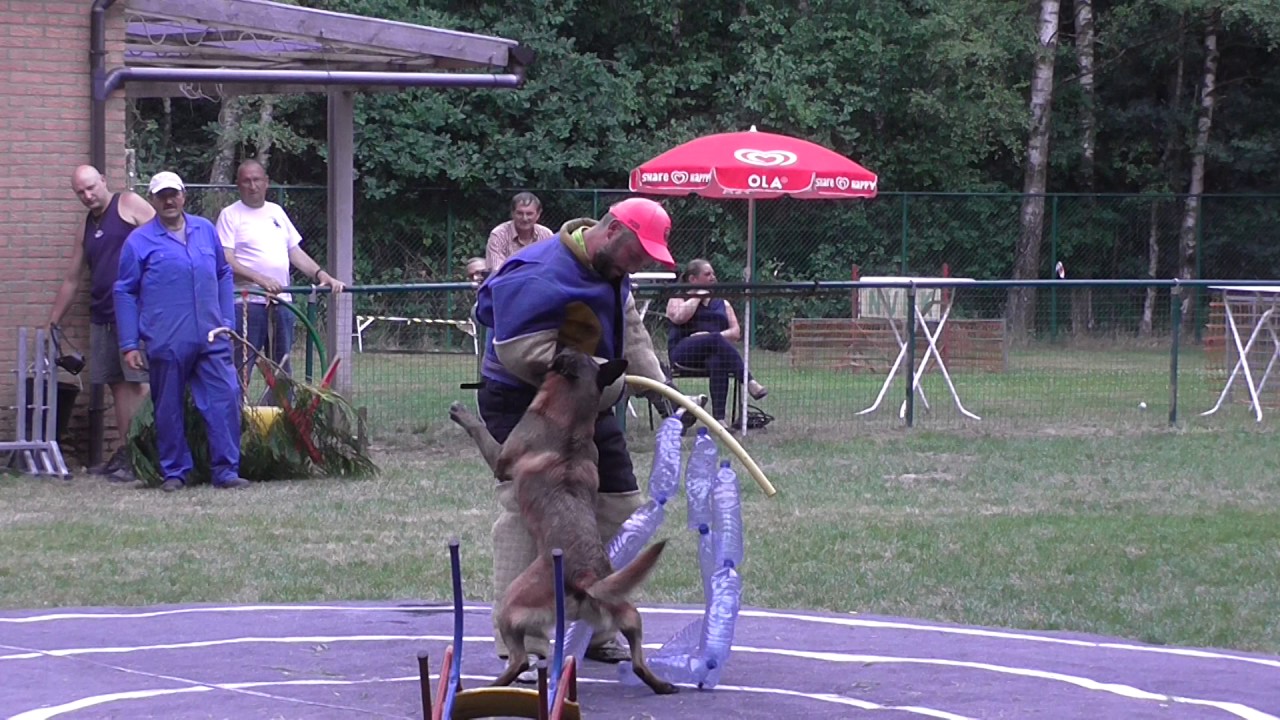 Pivot van de Stroese NVBK contest cat.2 Opgrimbie 1st place 363/400