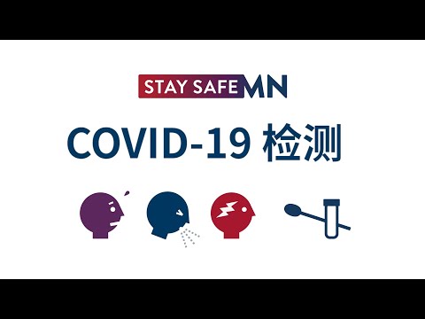 COVID-19 检测 (Chinese)