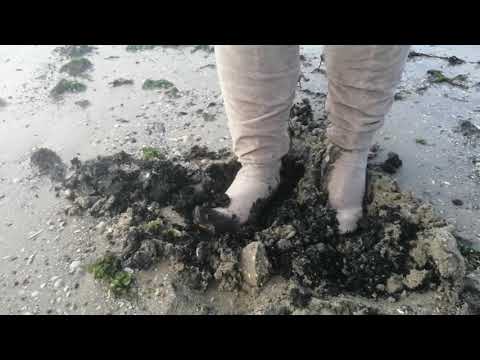 Mud