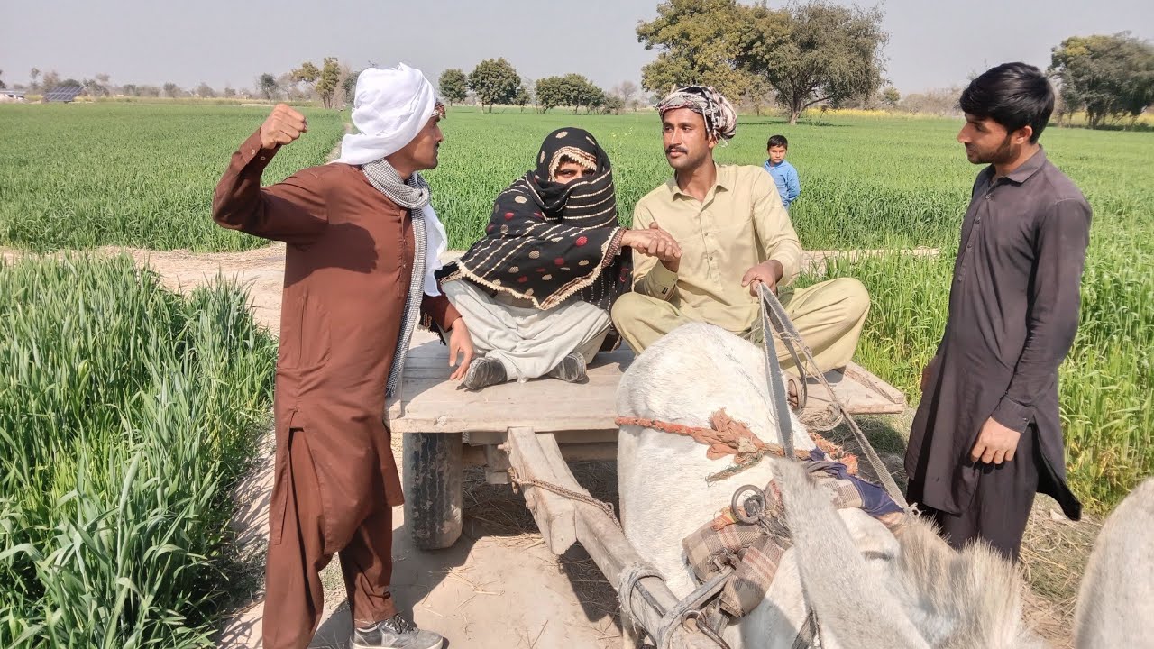 Naw funny video (PAPPU) Dani) لڑکی کا ٹھرکی PAPPU DA DERA 2026