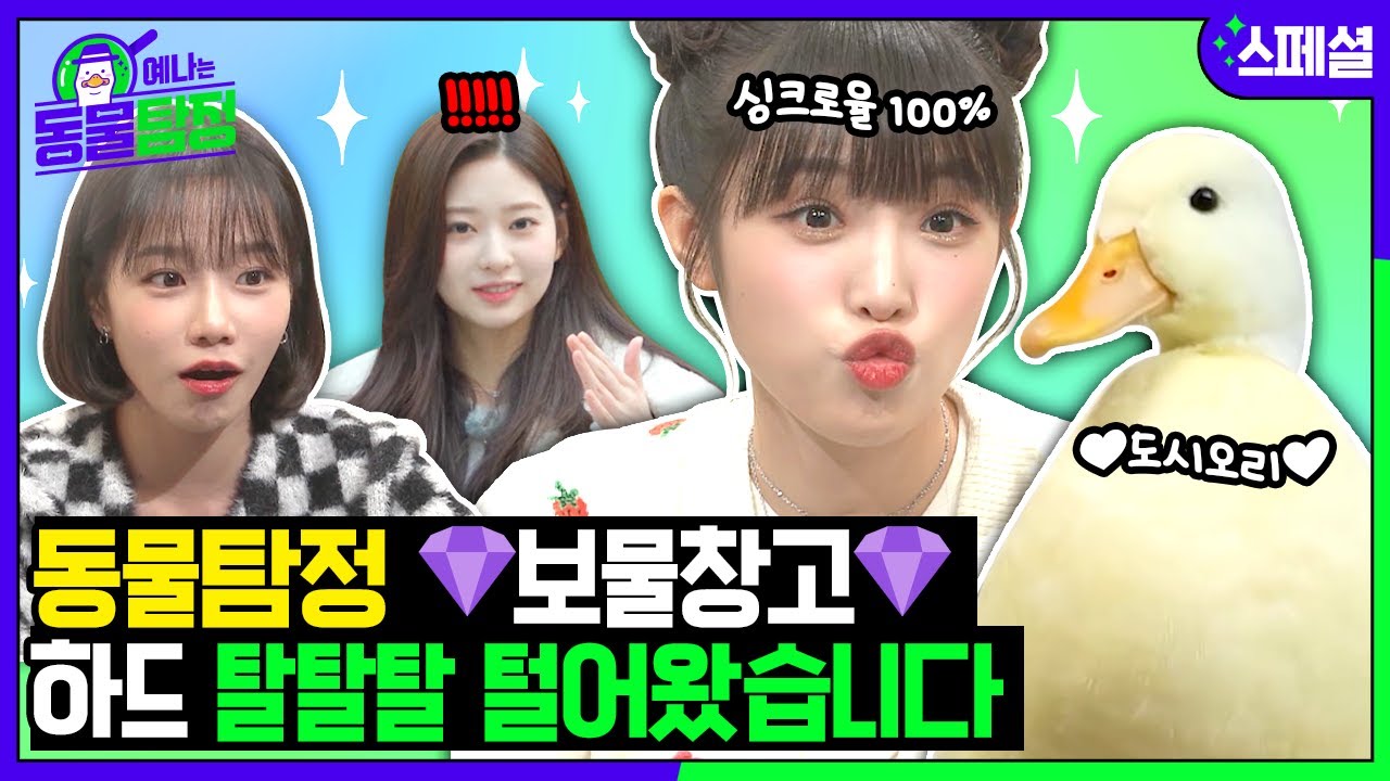 [SUB] 휴가를 반납했습니다. 예나는 동물탐정 이대로 보낼 수 없어😭 하드 탈탈 털어옴...☆ㅣ예나는동물탐정 스페셜 편