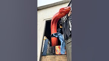Terrifying Truth: Giant Snake Discovered in a Small Village! 😱 #Mystery#ShockingFind#USA