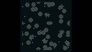 The Chemistry That Paints Animal Stripes (Turing Patterns)