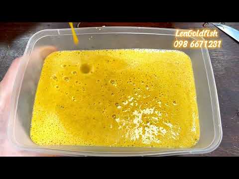 Video Cách làm trứng hấp dành cho cá vàng [LEN Goldfish] - youtube