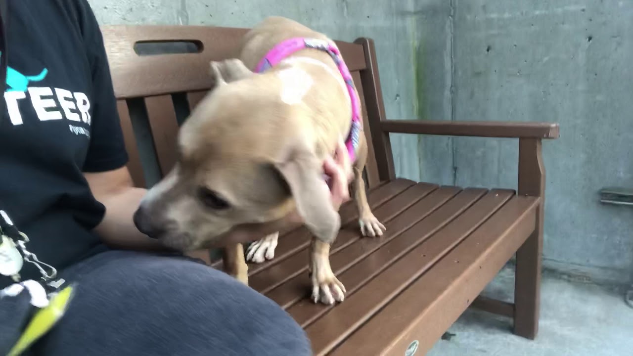 camera iphone 8 plus apk Lola 19029 | sweet and smoochy 😘 | nycacc