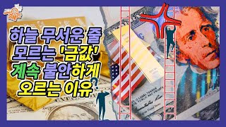 '금'... 연일 최고가, 안전자산 자부했던 '금값' 왜 불안하게 왜 계속 올라? [지금 경제]