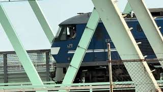 1094レ鹿島貨物EF210桃太郎新塗装112号機