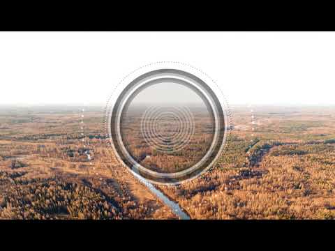 Rohne - Twelve