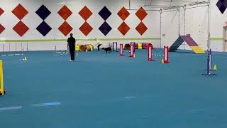 Raven-Colors cpe agility L5(Feb 26)