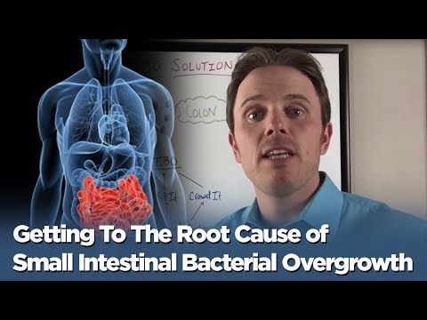 The SIBO Solution - Getting To The Root Cause of Small Intestinal Bacterial Overgrowth