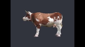 3D Model of cow - file cow.max