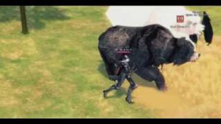 Mabinogi - Flying Frozen Bears