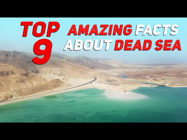 10 Fun Facts About the Dead Sea - Plus Even More Interesting Facts