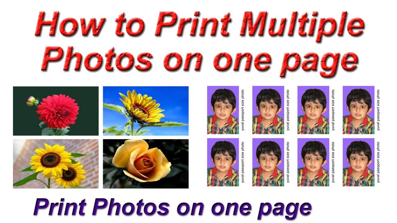 How to print 4 pictures on one page - polailike