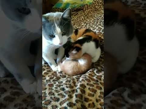 УМЫВАЕМСЯ ПЕРЕД ЗАВТРАКОМ!😁🥰😘😼😊