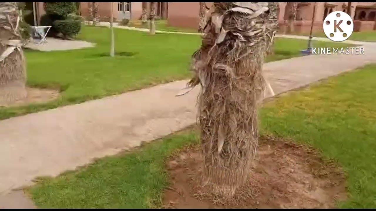 مركز الاصطياف marssa maroc في مدينة مراكش