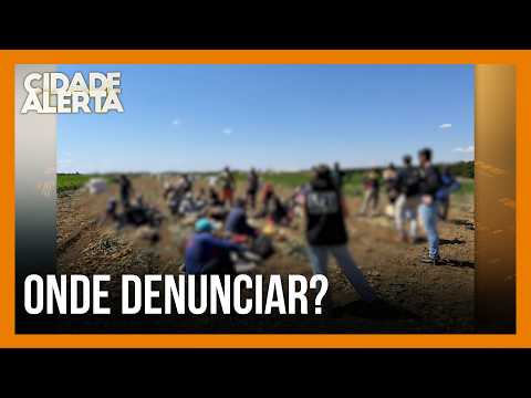 Modern-day slavery: Minas Gerais leads rescues in Brazil