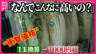 【白菜が“衝撃価格”…】ここ1か月ほどの低温が影響か  農家も「自分なら買わない」  いちごも色づき進まず…