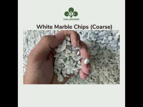 Video: Decoratieve marmeren chips