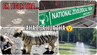 Delhi Zoo | Chidiyaghar 🤔 एक आदमी का शेर से सामना  😱🐾 animals,🐆birds,🐦🐓 🐍