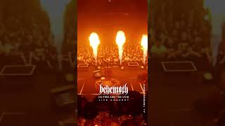 Behemoth - Ov Fire and the Void  #concert #live # behemoth #metal #metallica #livemusic #guitar