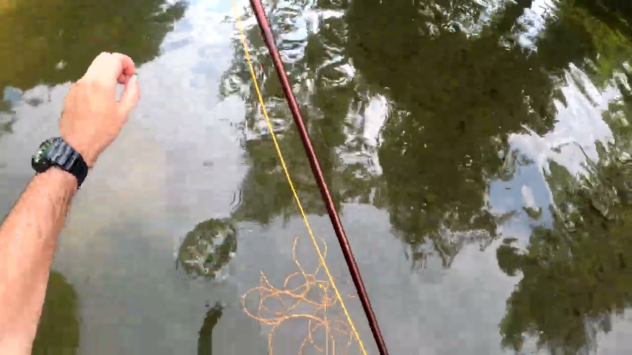 Мухарски риболов за кефал / Fly fishing for chub