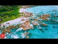 Sleeping Music 24/7, Deep Sleep Music, Relaxing Music, Calming Music,Relax,Chill,Yoga - DM Music