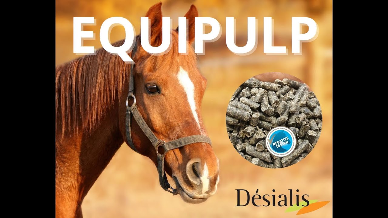 Épandeurs D'Équipe Pour Cheval De Trait - 7 Anneaux - Snap 3/4 - Rouge Et Blanc - Neuf