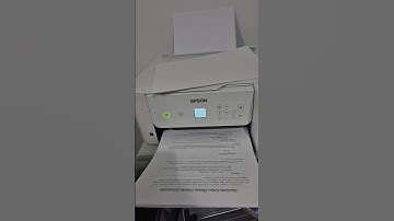 Game Design Document Completed! - Furlong Update 1.2  #pixelart #gamedev #gaming #games