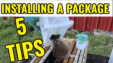 Bijenhouden | Krijgt u een nieuw pakket bijen? 5 TIPS OM NU TE WETEN!