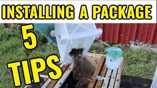 Beekeeping | Getting A New Package Of Bees? 5 TIPS TO KNOW NOW!