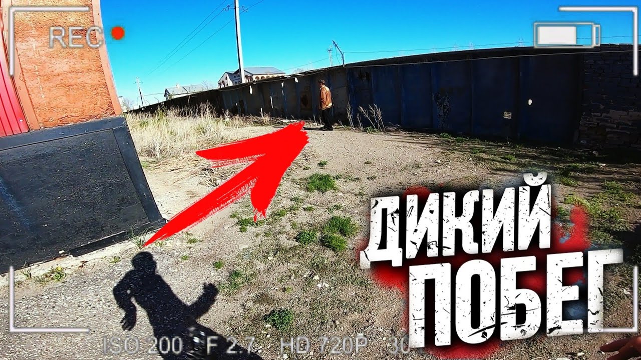 Дикий трах в машине