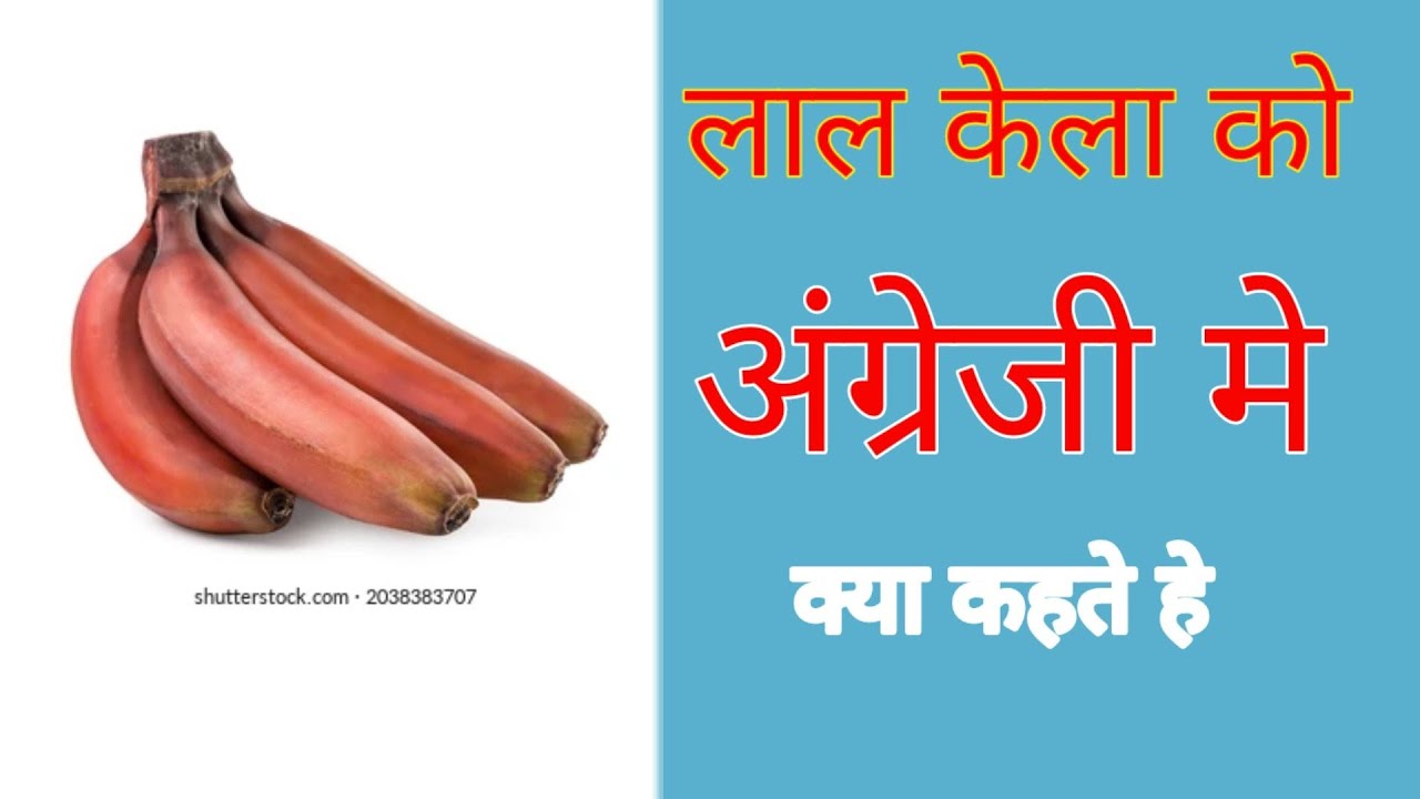 Red Banana Hindi word meaning in English How to write red banana in