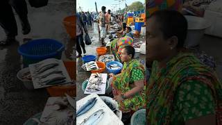 kasimedu fish market