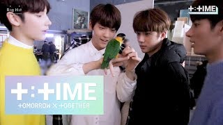 [T:TIME] How TXT Gets Close to Parrots - TXT (투모로우바이투게더)