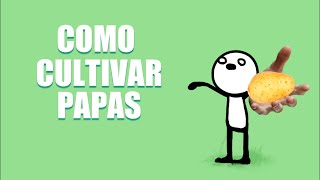 Como cultivar papas | Thomcrash