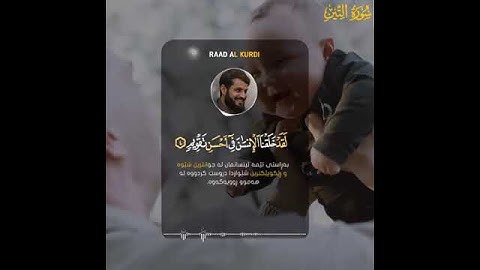 رعد الكردي (والتين والزيتون) تلاوة هادئة
