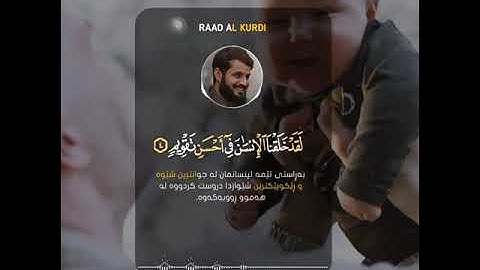 رعد الكردي (والتين والزيتون) تلاوة هادئة