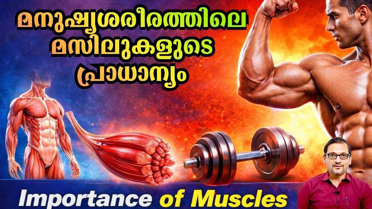 മനുഷ്യശരീരത്തിലെ മസിലുകളുടെ പ്രാധാന്യം | Importance of Muscles in Human Body | Dr.Satish Bhat 