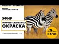 Детский эфир "Покровительственная окраска" в рамках рубрики "Путешествия с натуралистом"